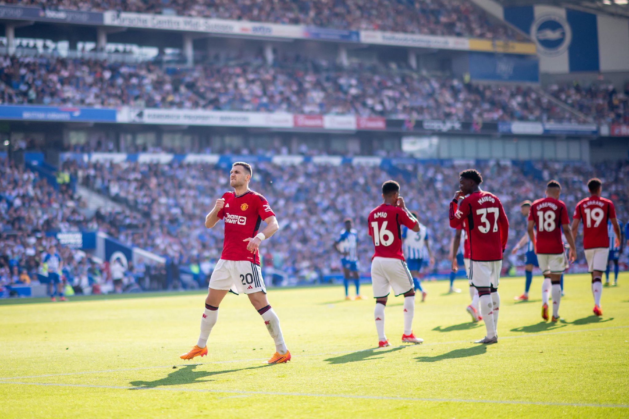 自然轮回的 自然轮回的